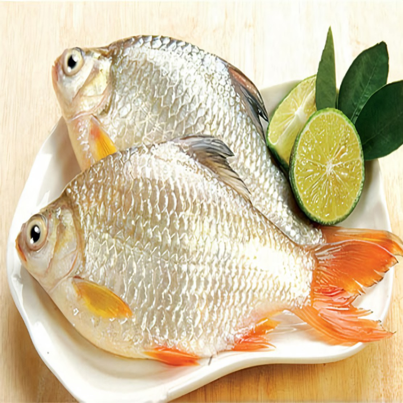 shorputi-whole-3