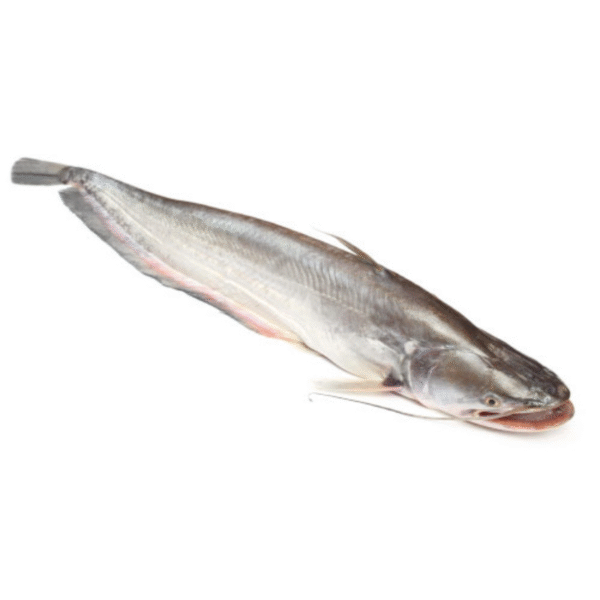 Boal Whole Fish