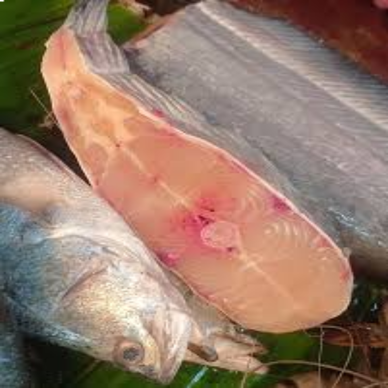 Boal-Whole-Fish-3