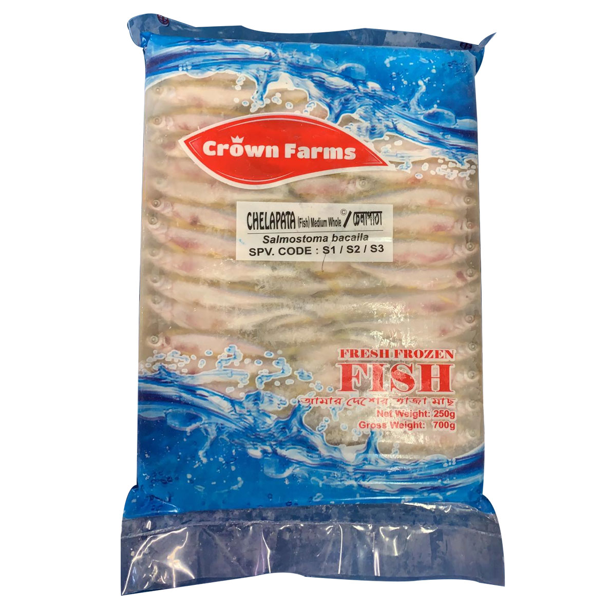 Chelapata-Fish-Block