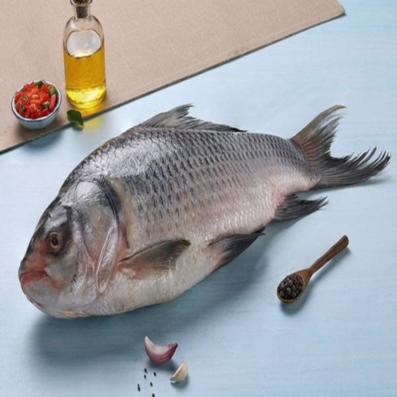 Katla-Whole-Fish-4