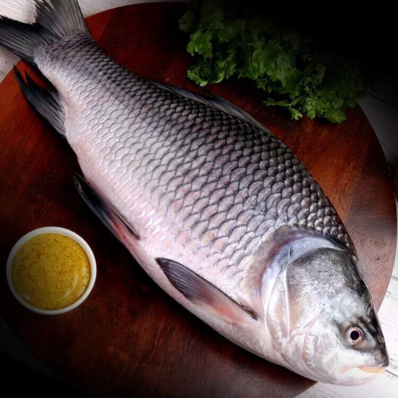 Katla-Whole-Fish-5
