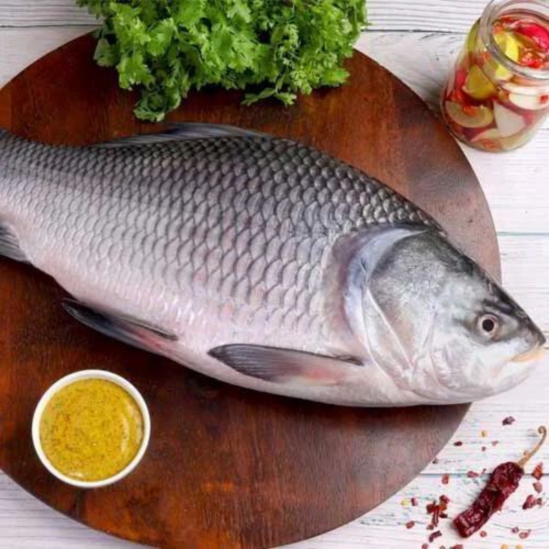Katla-Whole-Fish-6