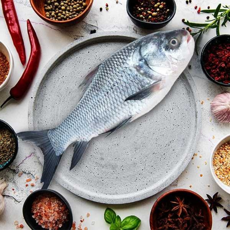 Katla-Whole-Fish-7