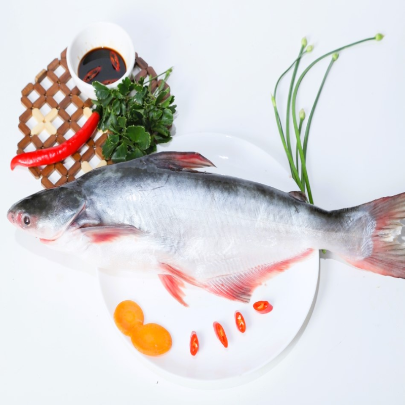 Pangasius-Whole-Fish-2