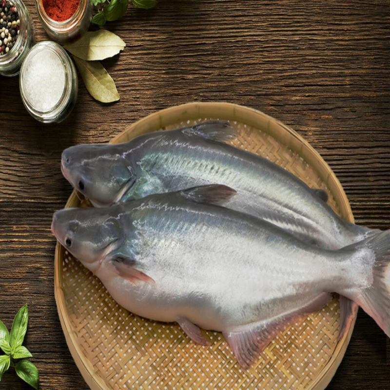 Pangasius-Whole-Fish-4